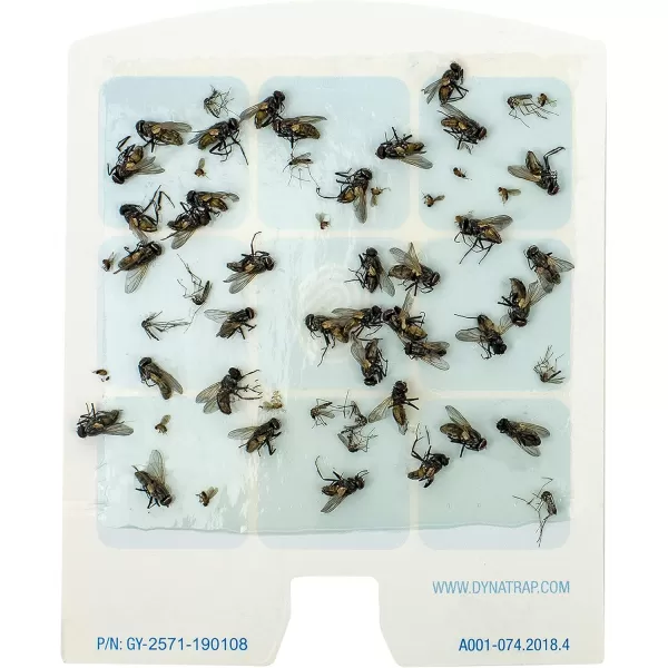 DynaTrap 23005-0612 DOT StickyTech Replacement Indoor Flying Insect Trap Glue Cards - 6 Pack