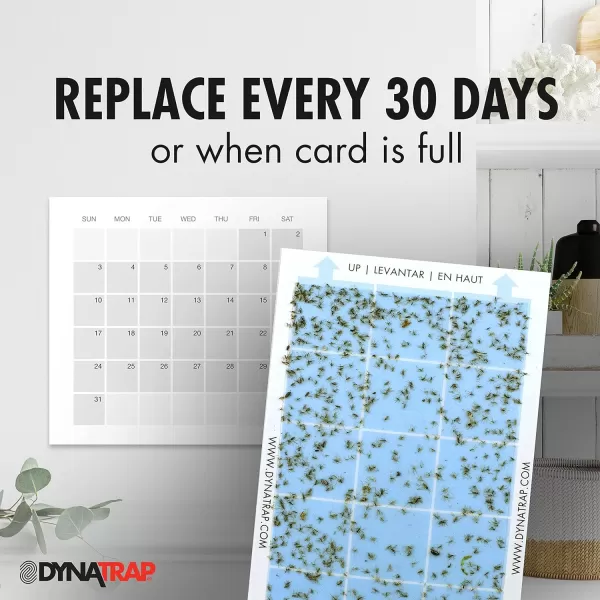 DynaTrap 230093 Replacement StickyTech Glue Cards for Flylight Indoor Plug-In Fly and Flying Insects Trap for Indoor DynaTrap Models DT3009 and DT3019 - 6 Pack