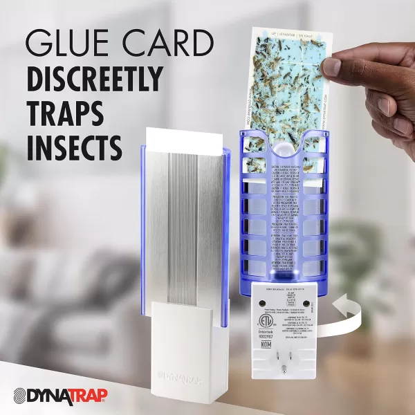 DynaTrap DT3009-1003P Flylight Indoor Plug-In Fly Trap for Flies, Fruit Flies, Moths, Gnats, &amp; Other Flying Insects – Protects up to 600 Sq Ft