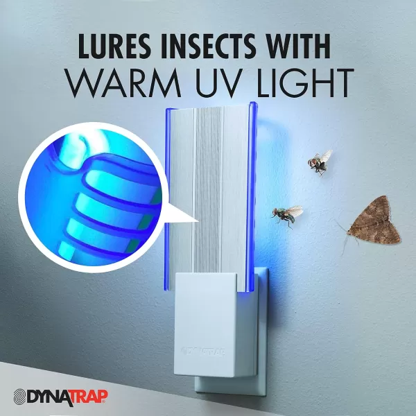 DynaTrap DT3009-1003P Flylight Indoor Plug-In Fly Trap for Flies, Fruit Flies, Moths, Gnats, &amp; Other Flying Insects – Protects up to 600 Sq Ft