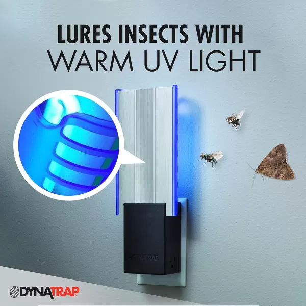 DynaTrap DT3009-1003P Flylight Indoor Plug-In Fly Trap for Flies, Fruit Flies, Moths, Gnats, &amp; Other Flying Insects – Protects up to 600 Sq Ft