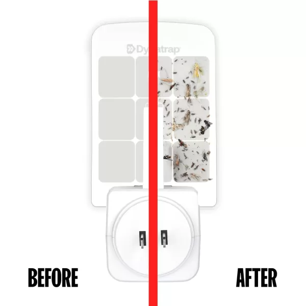Dynatrap 23007 Glue Card Refills for Indoor Dynatrap Fly Trap Models DT3007 and DT3007W - 6 Glue Card Refills