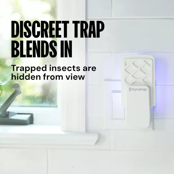 Dynatrap DT3007 Indoor Plug-in Fly Trap for Flies, Fruit Flies, Moths, Gnats, and Other Flying Insects - 1 Black Device + 2 Glue Cards