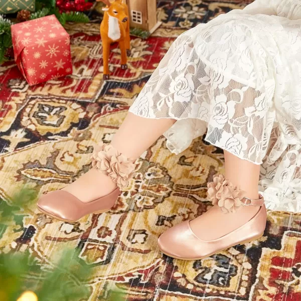 THEE BRON Toddler Girls Shoes Mary Jane Flats for Girls Ballerina Dress ShoesAg244rose