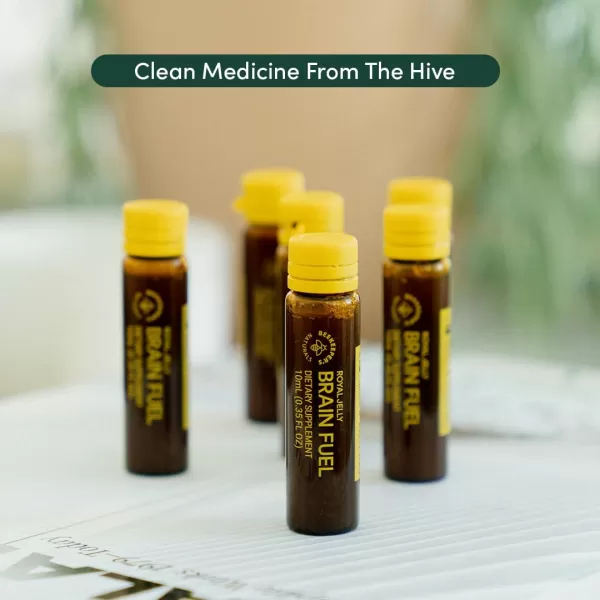 BEEKEEPERS NATURALS BLXR Brain Fuel  Memory Focus and Clarity Liquid Formula Supports Productivity Royal Jelly Ginkgo Biloba Bacopa Monnieri Keto Friendly Gluten ampamp CaffeineFree 6 ct21 Fl Oz Pack of 1