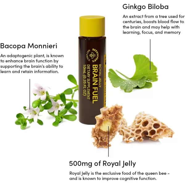 BEEKEEPERS NATURALS BLXR Brain Fuel  Memory Focus and Clarity Liquid Formula Supports Productivity Royal Jelly Ginkgo Biloba Bacopa Monnieri Keto Friendly Gluten ampamp CaffeineFree 6 ct21 Fl Oz Pack of 1