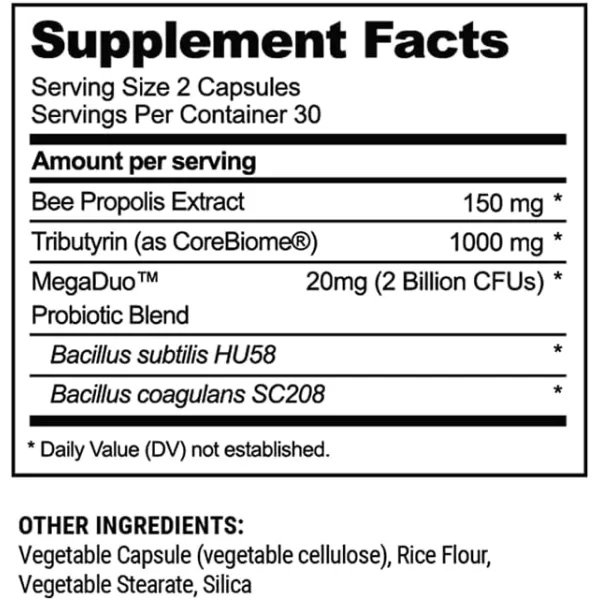 Beekeepers Naturals Complete Gut Health 3in1 Prebiotic Postbiotic Probiotics for Digestive Health ampamp Bloating Relief for Women ampamp Men Propolis Powered GlutenFree Vegan Capsules 20ct20 Count Pack of 1
