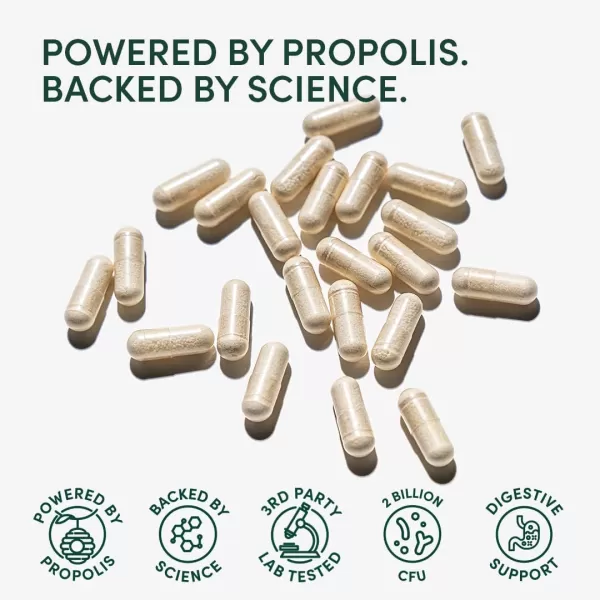 Beekeepers Naturals Complete Gut Health 3in1 Prebiotic Postbiotic Probiotics for Digestive Health ampamp Bloating Relief for Women ampamp Men Propolis Powered GlutenFree Vegan Capsules 20ct20 Count Pack of 1