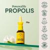 imageBeekeepers Naturals Kids Saline Nasal Mist Clears Stuff Noses Nasal Spray for Kids 1 wSaline Aloe ampamp Propolis 3 fl ozRegular