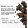 imageBeekeepers Naturals Kids Saline Nasal Mist Clears Stuff Noses Nasal Spray for Kids 1 wSaline Aloe ampamp Propolis 3 fl ozRegular