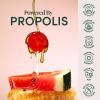 imageKids Prebiotic Fiber Lollipops by Beekeepers Naturals  Doctor Formulated Fiber Supplement Supports Digestive Regularity 3g of Fiber ampamp Honey Raspberry Blast ampamp Sweet Cherry Variety Pack 15 ctWatermelon