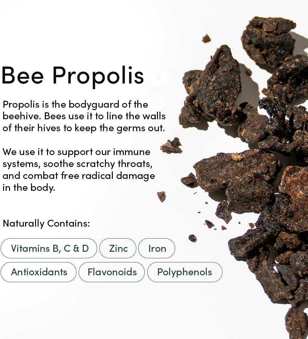 imagePropolis Throat Soother by Beekeepers Naturals  Maximum Throat Relief w Menthol Slippery Elm Bee Propolis Extract  Fastacting ampamp Cooling Comfort 10 ozPack of 1Adult Propolis 1 Pack