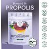 imageBeekeepers Naturals Soothing Honey Cough Drops 3 Flavors PackHoneyGinger Lemon ampamp Elderberry Sore Throat Relief Soothing Lozenges with ZincPropolis ampamp Vitamin D42 CtElderberry Lozenges