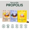 imageBeekeepers Naturals Soothing Honey Cough Drops 3 Flavors PackHoneyGinger Lemon ampamp Elderberry Sore Throat Relief Soothing Lozenges with ZincPropolis ampamp Vitamin D42 CtHoney Ginger Lemon  Elderberry