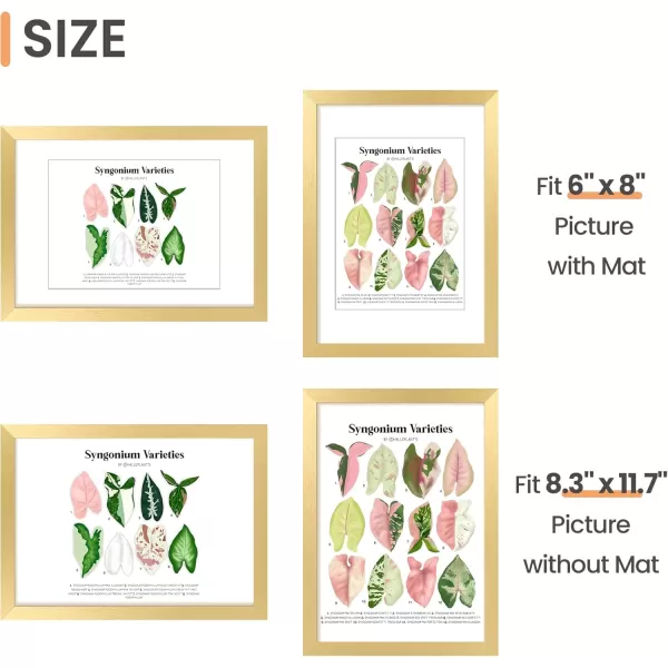 upsimples 8x10 Picture Frame Display Pictures 5x7 with Mat or 8x10 Without Mat Wall Hanging Photo Frame Red 1 PackGold