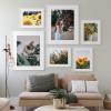 imageupsimples 16x24 Picture Frame Set of 5 Display Pictures 14x20 with Mat or 16 x 24 Without Wall Gallery Poster Frames GoldWhite
