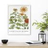 imageupsimples 8x10 Picture Frame Wall Gallery Photo Frames with Engineered Wood Gold 1 PackWhite