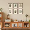 imageupsimples 4x6 Picture Frame Display Pictures 35x5 with Mat or 4 x 6 Without Wall Hanging Photo Frames Brown 1 PackBrown