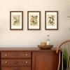 imageupsimples 4x6 Picture Frame Display Pictures 35x5 with Mat or 4 x 6 Without Wall Hanging Photo Frames Brown 1 PackBrown
