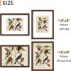imageupsimples 4x6 Picture Frame Display Pictures 35x5 with Mat or 4 x 6 Without Wall Hanging Photo Frames Brown 1 PackBrown