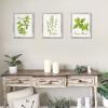 imageupsimples 4x6 Picture Frame Display Pictures 35x5 with Mat or 4 x 6 Without Wall Hanging Photo Frames Brown 1 PackRustic White