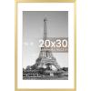 imageupsimples 20x30 Poster Frame Display Pictures 16x24 with Mat or 20x30 Without Mat Wall Hanging Picture Frame Natural 1 PackGold
