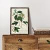 imageupsimples 11x17 Picture Frame Wall Gallery Photo Frames with Engineered Wood Brown 1 PackBrown