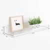 imageupsimples 2 Pack 355x55 Inches Acrylic Shelves for Wall Storage Floating Bookshelves for Kids Display Shelf Organizer for Bathroom Bedroom Living Room Kitchen Clear6