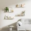 imageupsimples 2 Pack 355x55 Inches Acrylic Shelves for Wall Storage Floating Bookshelves for Kids Display Shelf Organizer for Bathroom Bedroom Living Room Kitchen Clear2