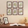 imageupsimples 8x8 Picture Frame Set of 10 Display Pictures 5x5 with Mat or 8x10 Without Multi Photo Frames Collage for Wall or Tabletop Display BlackBrown