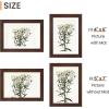 imageupsimples 8x8 Picture Frame Set of 10 Display Pictures 5x5 with Mat or 8x10 Without Multi Photo Frames Collage for Wall or Tabletop Display BlackBrown