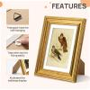 imageupsimples 4x6 Picture Frame Gold Frames Display 35x5 with Mat or 4 x 6 Without for Wall or Tabletop Decor 1pack5x7