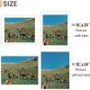 imageupsimples 5x7 Picture Frame Display Pictures 4x6 with Mat or 5 x 7 Without Wall Hanging Photo Frames Blue 1 PackWhite