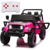 24v Pink
