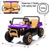 imagePOSTACK 24V 2 Seater Ride on Toy with Parental Remote Control Electric Dump Truck for Kids Battery Powered Electric Vehicle UTV for Kids to Drive wBluetooth Music BlackPurple