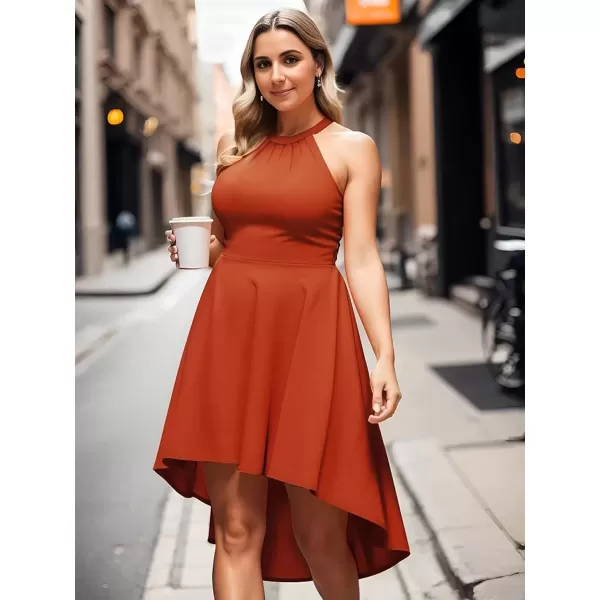 imageEverPretty Womens Summer ALine Halter Plus Size Sundresses Causal Cocktail Dress 01782PZBurnt Orange