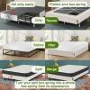 imageBedecor 49 Inches Box Spring Cover Twin Size Light Grey with Stretchy Fabric Bed Frame Cover Wrap Around 4 Sides Elastic Bed Skirt Alternative Gray Boxspring Cover TwinTwin XLBeige Cream