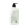 imageHEMPZ Body Lotion  Grapefruit ampamp Raspberry Crme Daily Moisturizing Cream Shea Butter Body Moisturizer  Skin Care Products Hemp Seed Oil  LargeExotic Green Tea  Pear