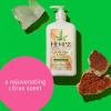imageHempz Body Lotion  Citrine Crystal ampamp Quartz Daily Moisturizing Cream Shea Butter Hand and Body Moisturizer  Hemp Extract Lotion  Skin Care Products Pure Organic Hemp Seed Oil  17 Fl OzCitrine Crystal  Quartz