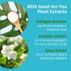 imageHempz Smoothing Herbal Koa ampamp Sweet Almond Body Moisturizer 17 Fl Oz Pack of 1 PinkJasmine  Rose