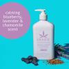 imageBlueberry Lavender ampamp Chamomile Herbal Body Moisturizer 17oz17 Fl Oz Pack of 1