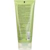 imageExotic Green Tea ampamp Asian Pear Exfoliating Herbal Cleansing Mud ampamp Body Mask