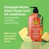 imageHempz Biotin Conditioner  Triple Moisture Fresh Citrus  Peach ampamp Grapefruit  For Growth ampamp Strengthening of Dry Damaged and Color Treated Hair Hydrating Softening Moisturizing  17 Fl OZPineapple Melon 17 Oz