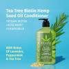 imageHempz Biotin Conditioner  Triple Moisture Fresh Citrus  Peach ampamp Grapefruit  For Growth ampamp Strengthening of Dry Damaged and Color Treated Hair Hydrating Softening Moisturizing  17 Fl OZTea  Chamomile 17 Oz