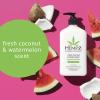 imageHempz Body Lotion  Sweet Pineapple ampamp Honey Melon  Coconut ampamp Watermelon Daily Moisturizing Cream Shea Butter Aloe  Skin Care Products Hemp Seed Oil  17 fl oz 2Pack Bundle