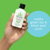 imageHempz Exotic Natural Herbal Body Moisturizer with Pure Hemp Seed Oil Green Tea and Asian Pear 225 Fluid Ounce  Nourishing Vegan Skin Lotion for Dryness and Flaking with Acai and Goji BerryExotic Green TeaAsian Pear