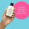 imageHempz Sweet Pineapple ampamp Honey Melon Moisturizing Skin Lotion Hemp Seed Herbal Body Moisturizer with Jojoba Natural Extracts Vitamins A and E 225 oz