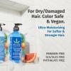 imageHempz Biotin Conditioner  Triple Moisture Fresh Citrus  Peach ampamp Grapefruit  For Growth ampamp Strengthening of Dry Damaged and Color Treated Hair Hydrating Softening Moisturizing  338 Fl OZPeach Grapefruit 338 Oz