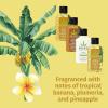 imageHempz First Class Travel Essentials  Floral Banana Herbal Shampoo Conditioner Moisturizer ampamp Body Wash for Traveling Bath or Shower Hair ampamp Skin Care for Women or Men 4Pack 25 Oz BottlesFloral Banana
