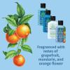 imageHempz First Class Travel Essentials  Floral Banana Herbal Shampoo Conditioner Moisturizer ampamp Body Wash for Traveling Bath or Shower Hair ampamp Skin Care for Women or Men 4Pack 25 Oz BottlesTriple Moisture Citrus
